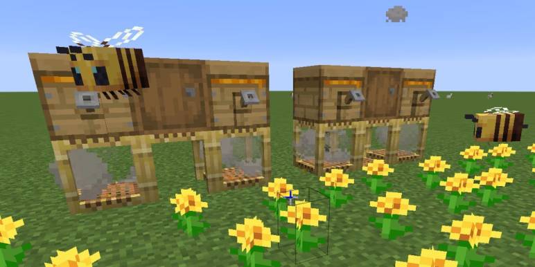 Ideal Place To Find A Bee Nest In Minecraft
